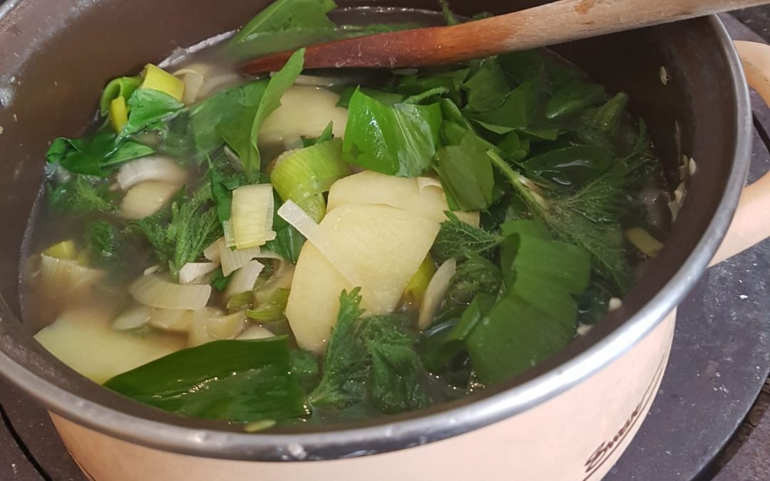 Spring Tonics