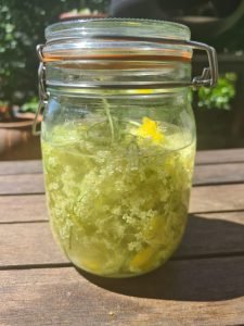 elderfower gin