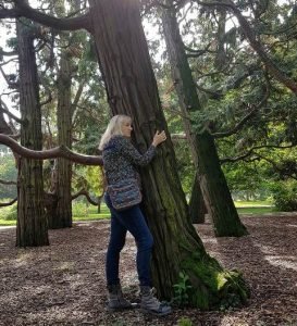 small tree hugging