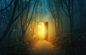 An open door leading into a dark forest, introducing archetypes in midlife.
