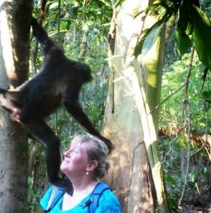 A wise woman is standing in the forest with a monkey hanging from a tree, reflecting on regrets in midlife.