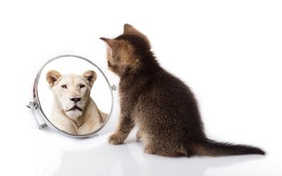 Becoming Self-Aware