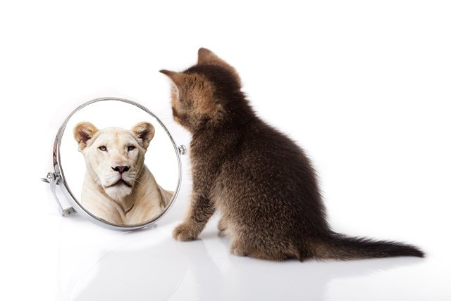Becoming Self-Aware